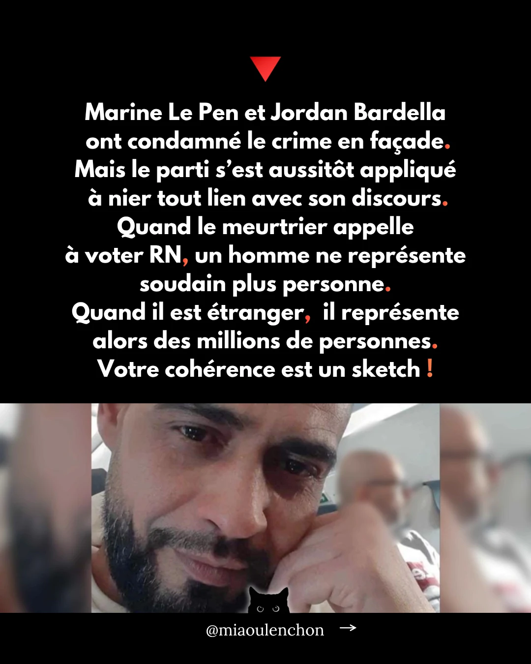 Le Rassemblement national n’aime pas la France — diapositive 11