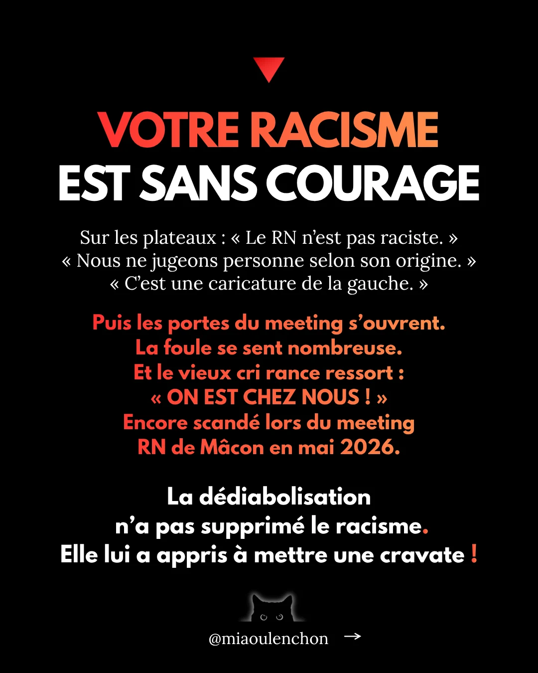 Le Rassemblement national n’aime pas la France — diapositive 12