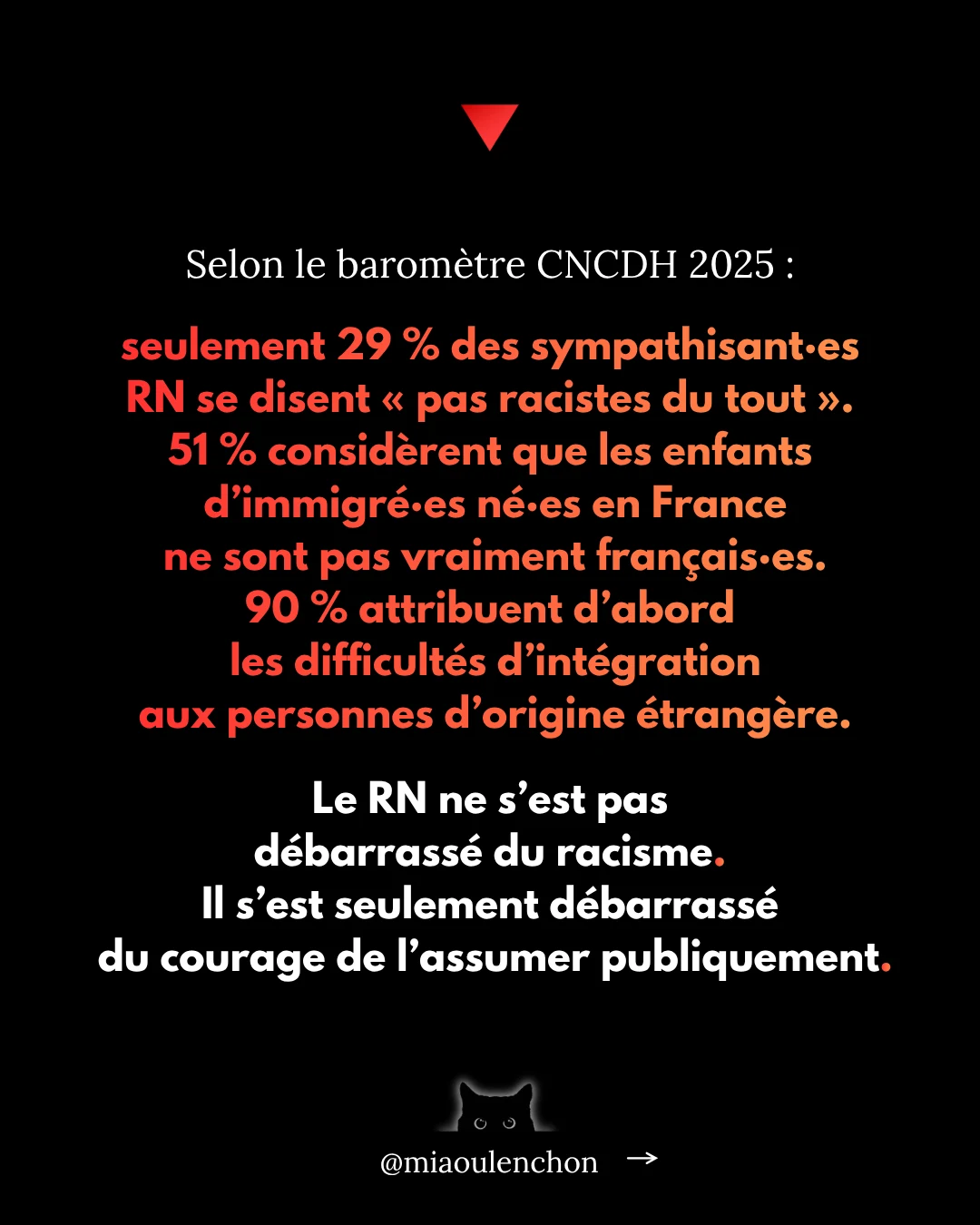 Le Rassemblement national n’aime pas la France — diapositive 13