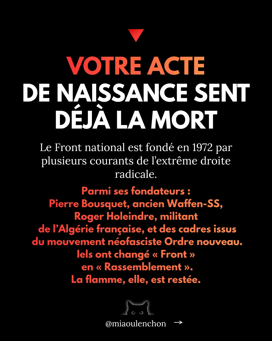 Le Rassemblement national n’aime pas la France — diapositive 14