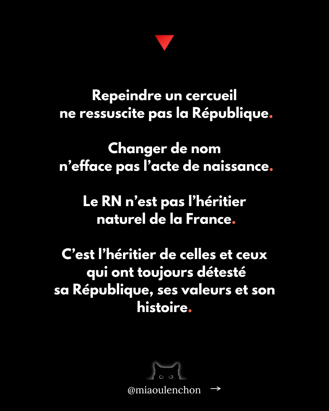 Le Rassemblement national n’aime pas la France — diapositive 15