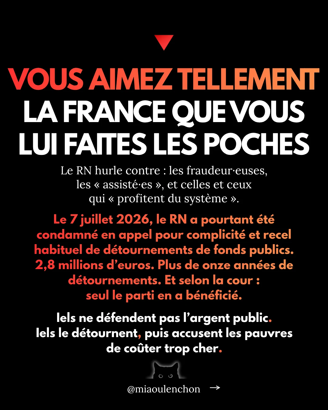 Le Rassemblement national n’aime pas la France — diapositive 16