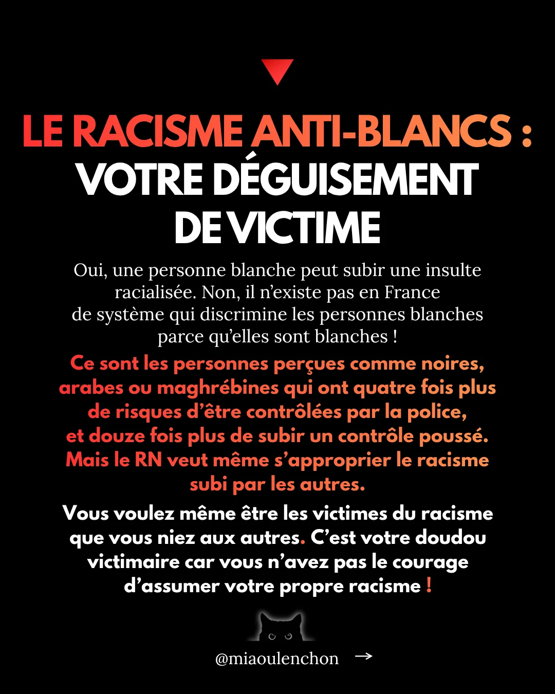 Le Rassemblement national n’aime pas la France — diapositive 17
