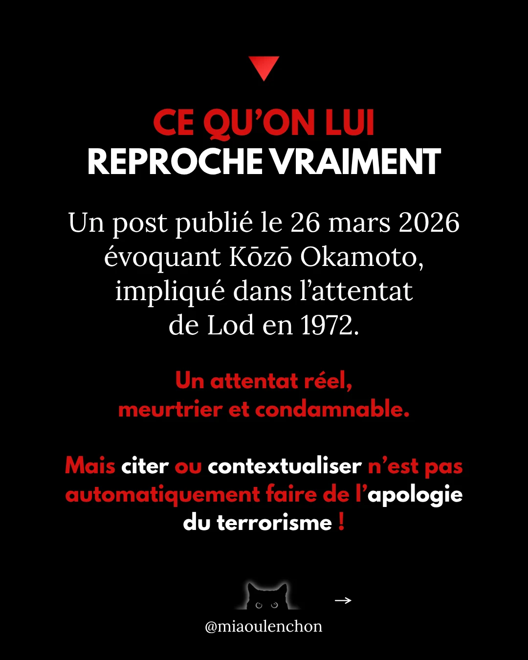 Rima Hassan n’est pas une terroriste — diapositive 3