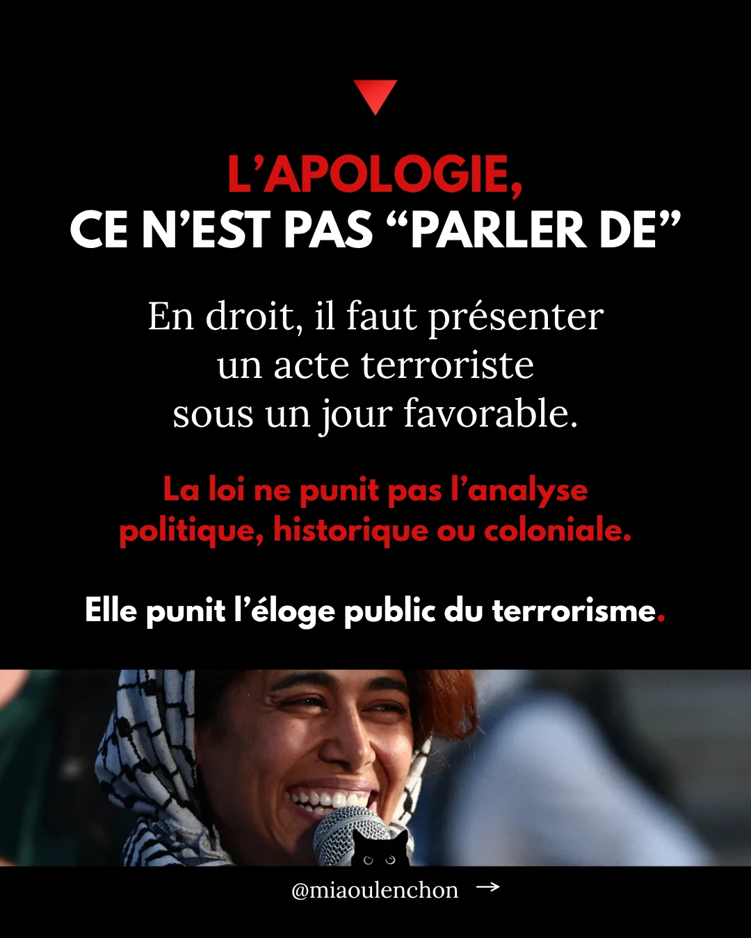 Rima Hassan n’est pas une terroriste — diapositive 4
