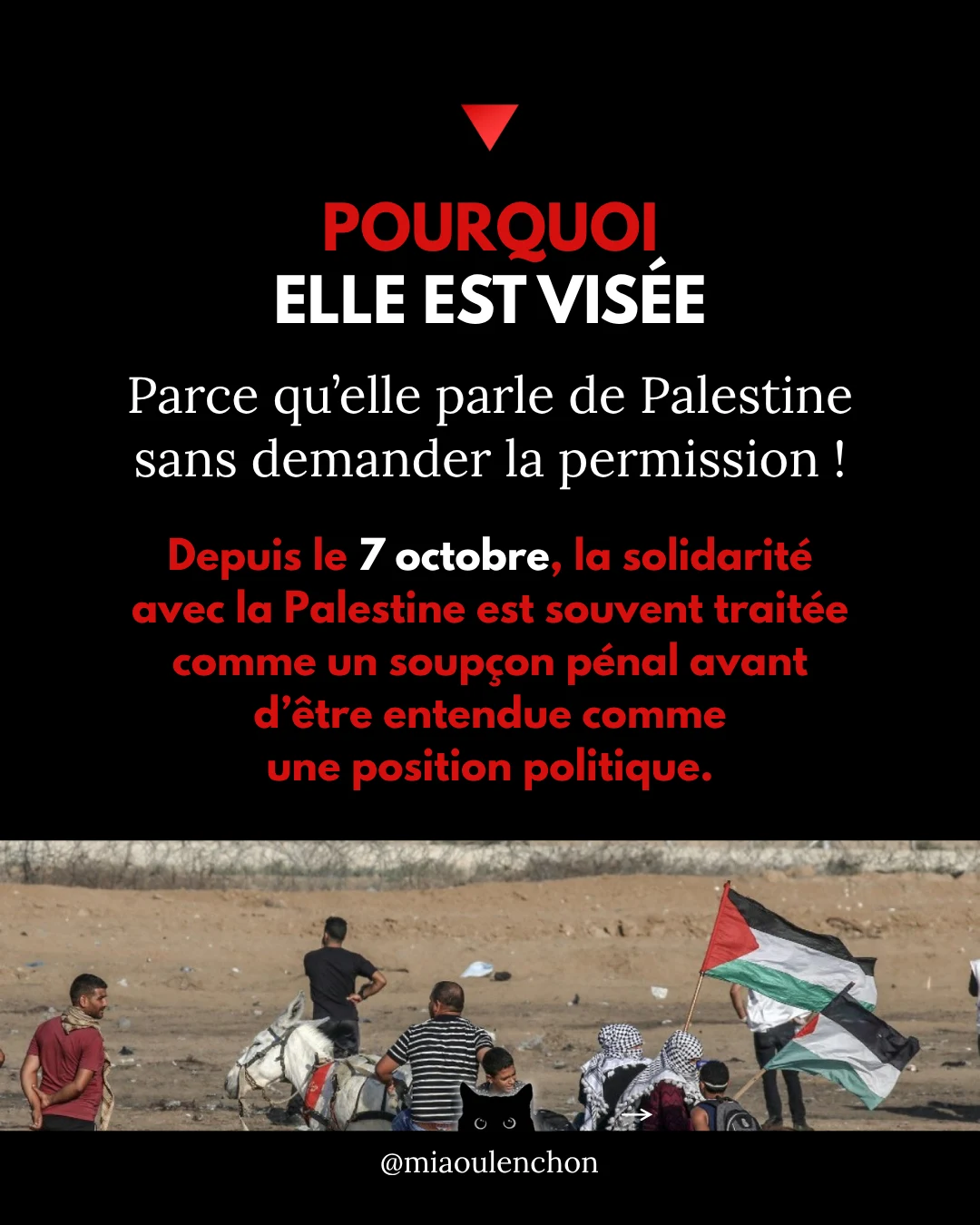 Rima Hassan n’est pas une terroriste — diapositive 6