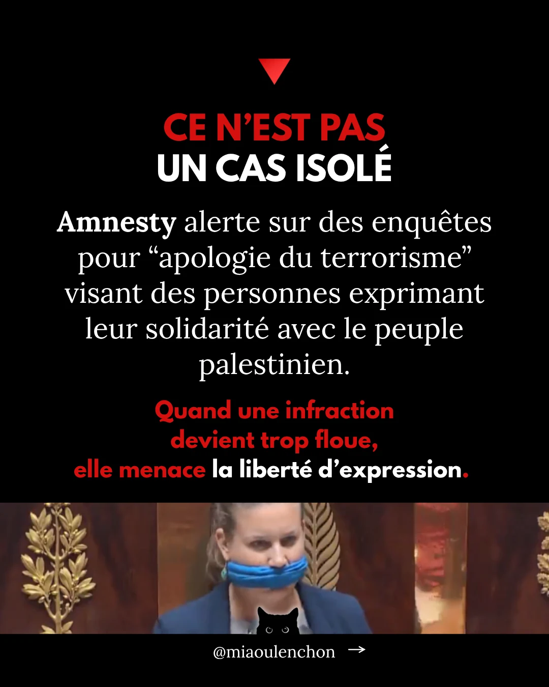 Rima Hassan n’est pas une terroriste — diapositive 7