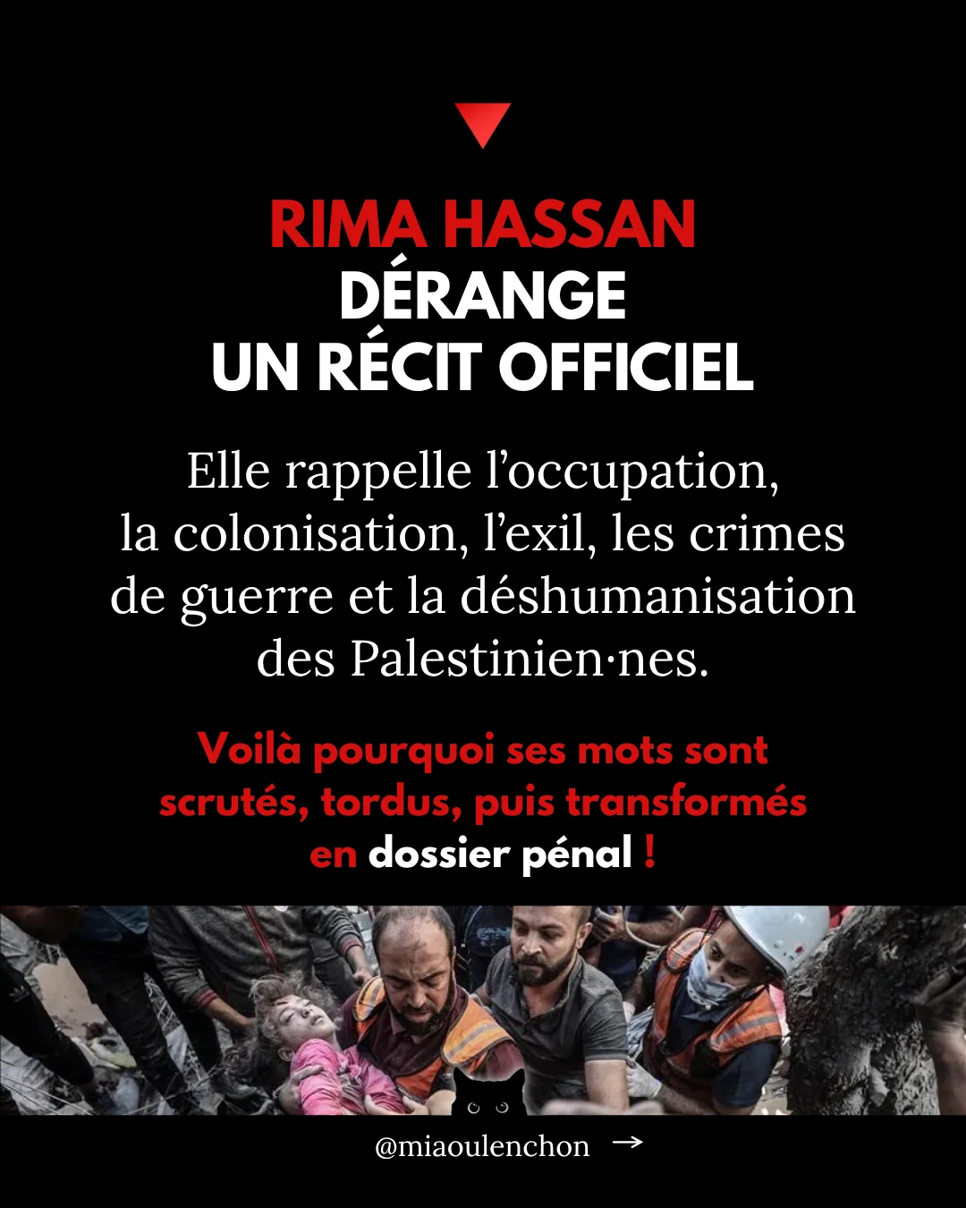 Rima Hassan n’est pas une terroriste — diapositive 8