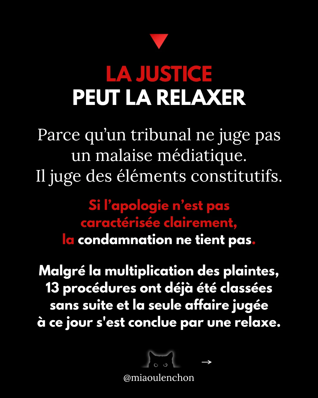 Rima Hassan n’est pas une terroriste — diapositive 9