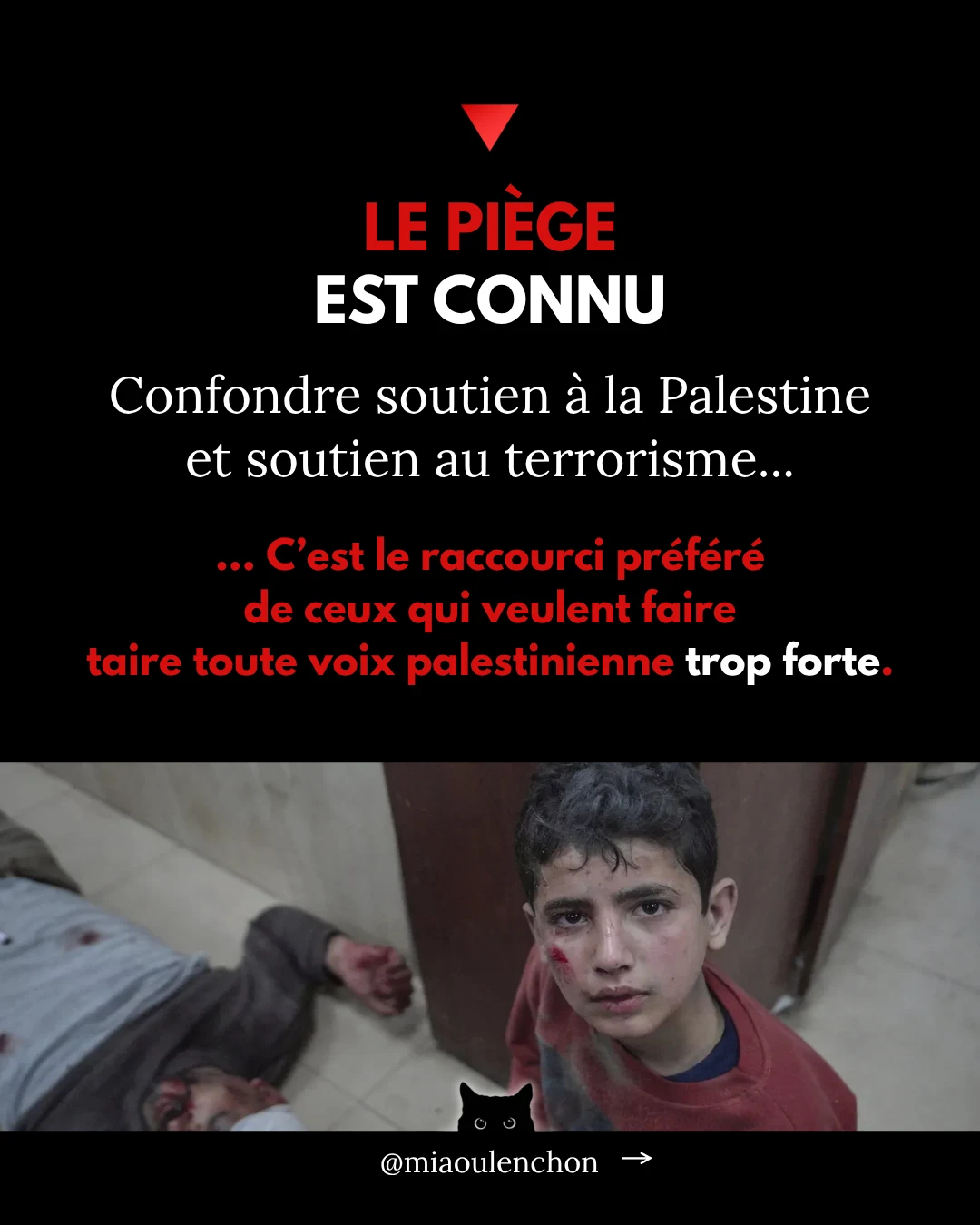 Rima Hassan n’est pas une terroriste — diapositive 10