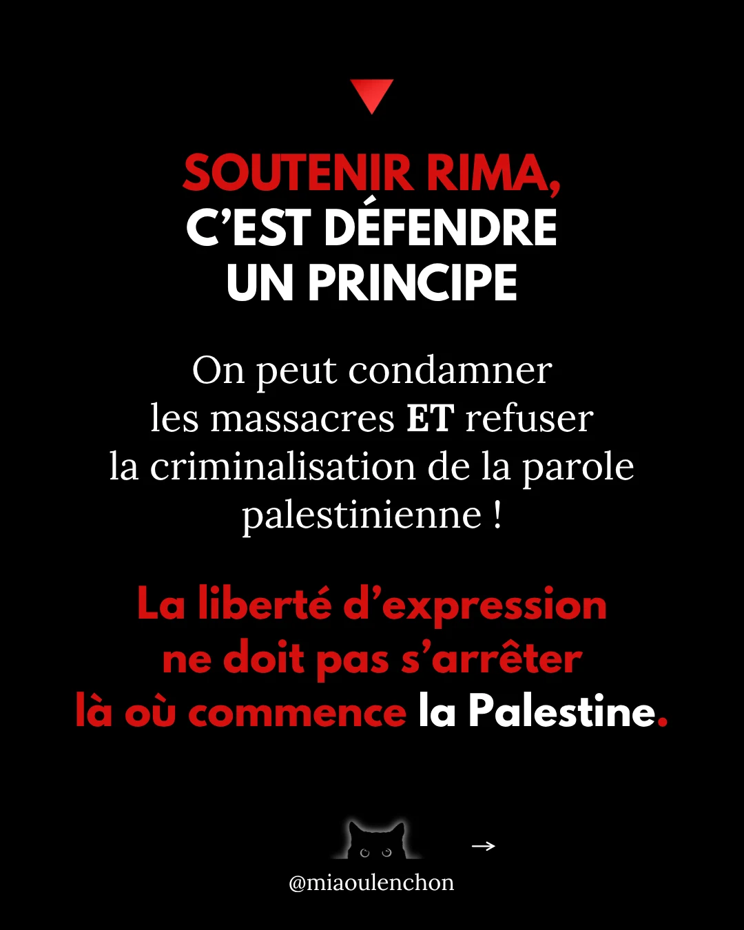 Rima Hassan n’est pas une terroriste — diapositive 11