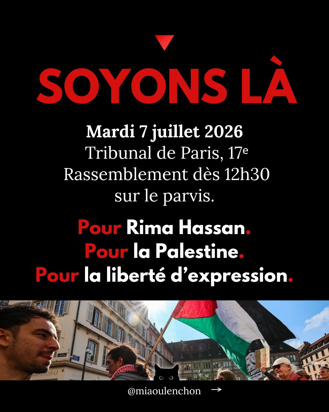 Rima Hassan n’est pas une terroriste — diapositive 12