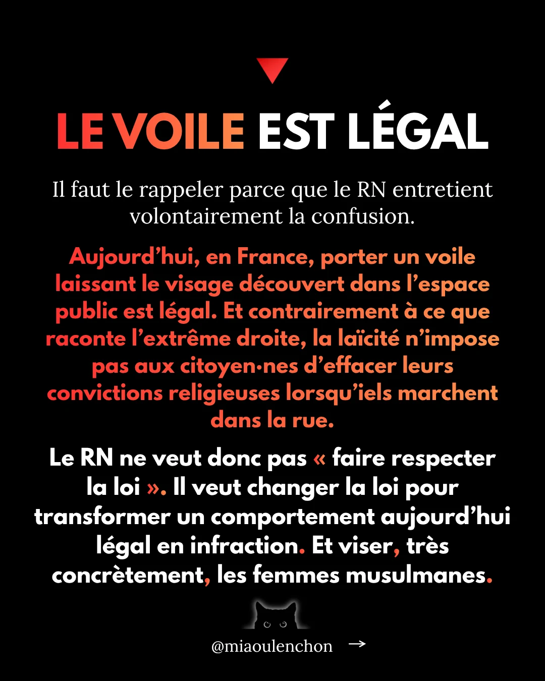 Verbaliser les femmes voilées — diapositive 17