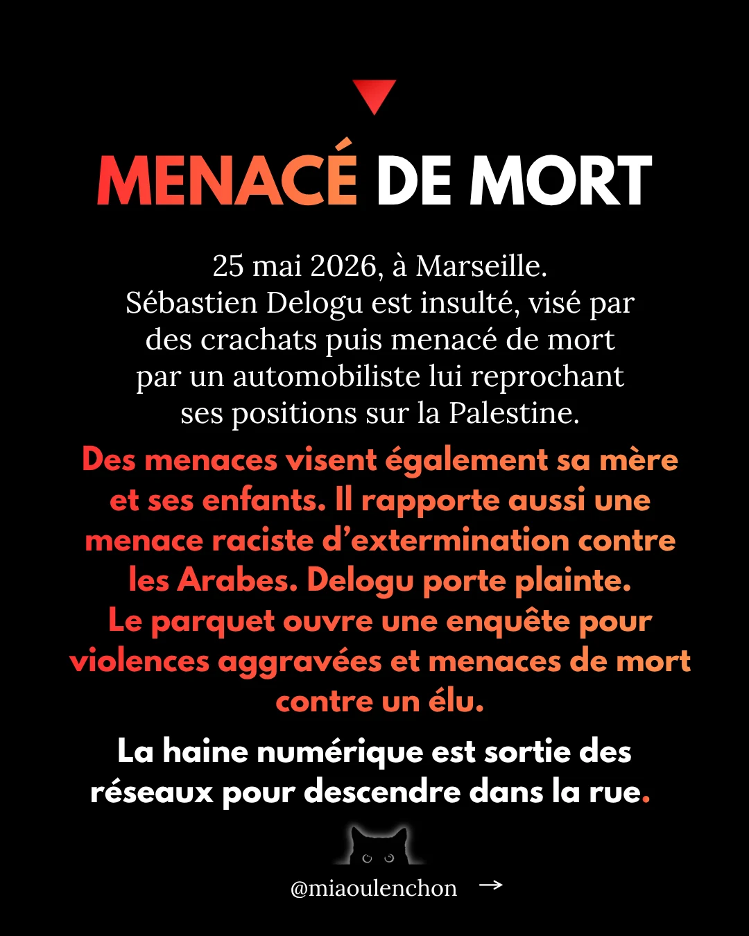 Sébastien Delogu : cible politique — diapositive 12