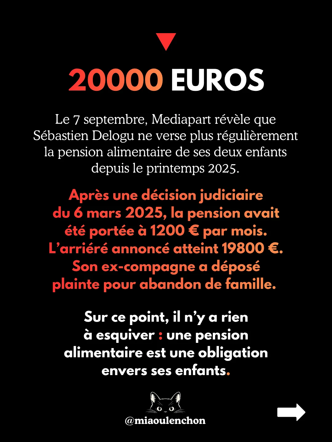 Sébastien Delogu : jusqu’à sa vie privée — diapositive 3