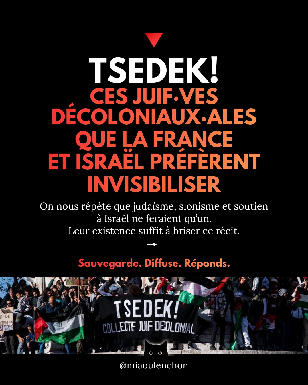 Tsedek ! Ces juif·ves décoloniaux·ales que la France et Israël préfèrent invisibiliser — diapositive 1