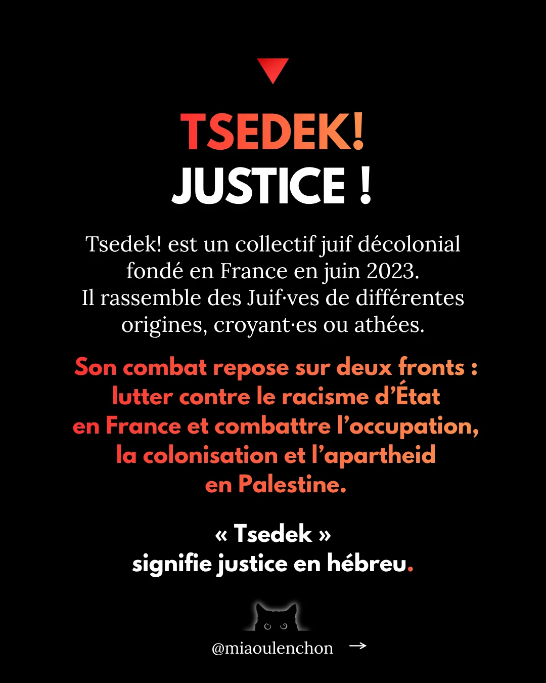 Tsedek ! Ces juif·ves décoloniaux·ales que la France et Israël préfèrent invisibiliser — diapositive 2