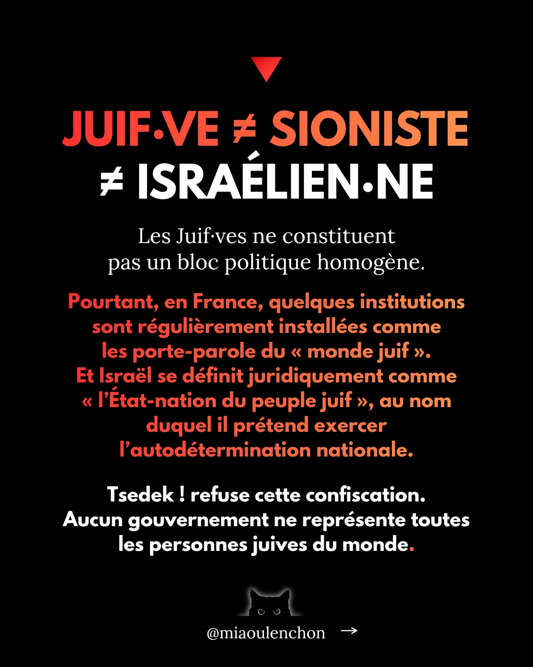 Tsedek ! Ces juif·ves décoloniaux·ales que la France et Israël préfèrent invisibiliser — diapositive 5