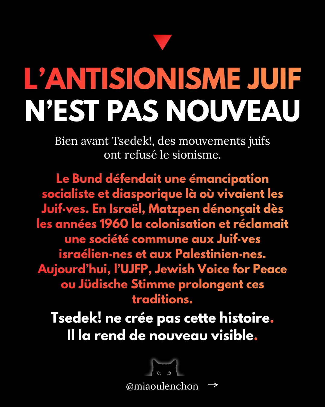 Tsedek ! Ces juif·ves décoloniaux·ales que la France et Israël préfèrent invisibiliser — diapositive 6