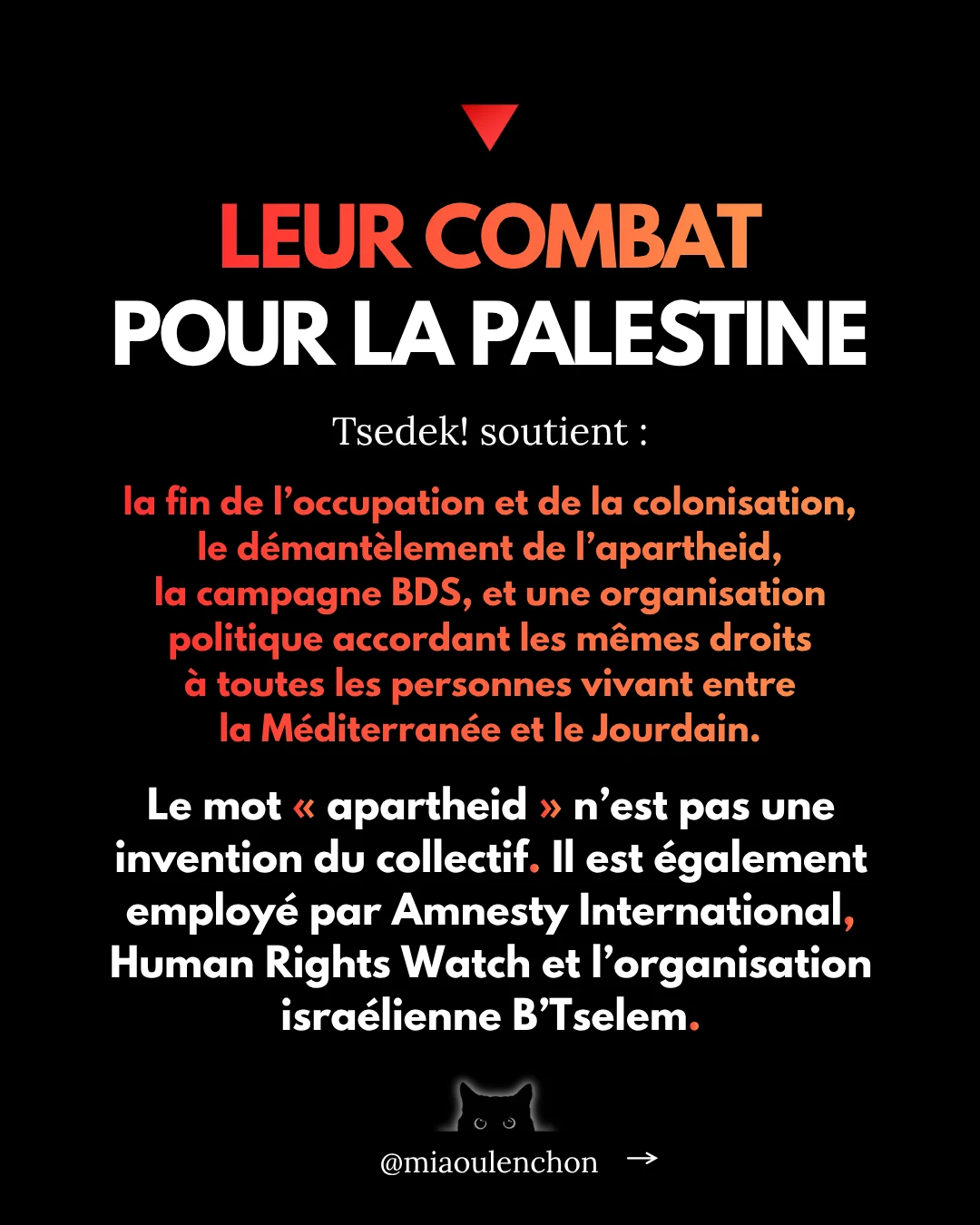 Tsedek ! Ces juif·ves décoloniaux·ales que la France et Israël préfèrent invisibiliser — diapositive 12