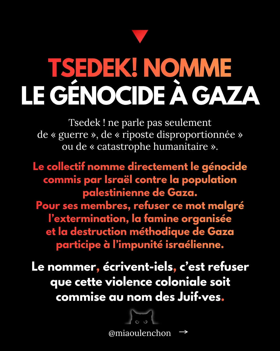 Tsedek ! Ces juif·ves décoloniaux·ales que la France et Israël préfèrent invisibiliser — diapositive 15