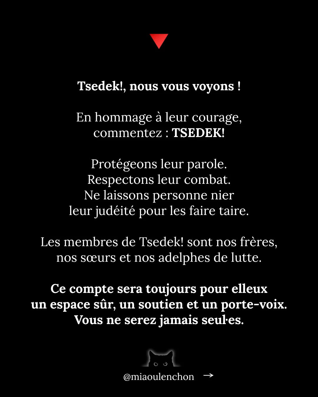 Tsedek ! Ces juif·ves décoloniaux·ales que la France et Israël préfèrent invisibiliser — diapositive 18