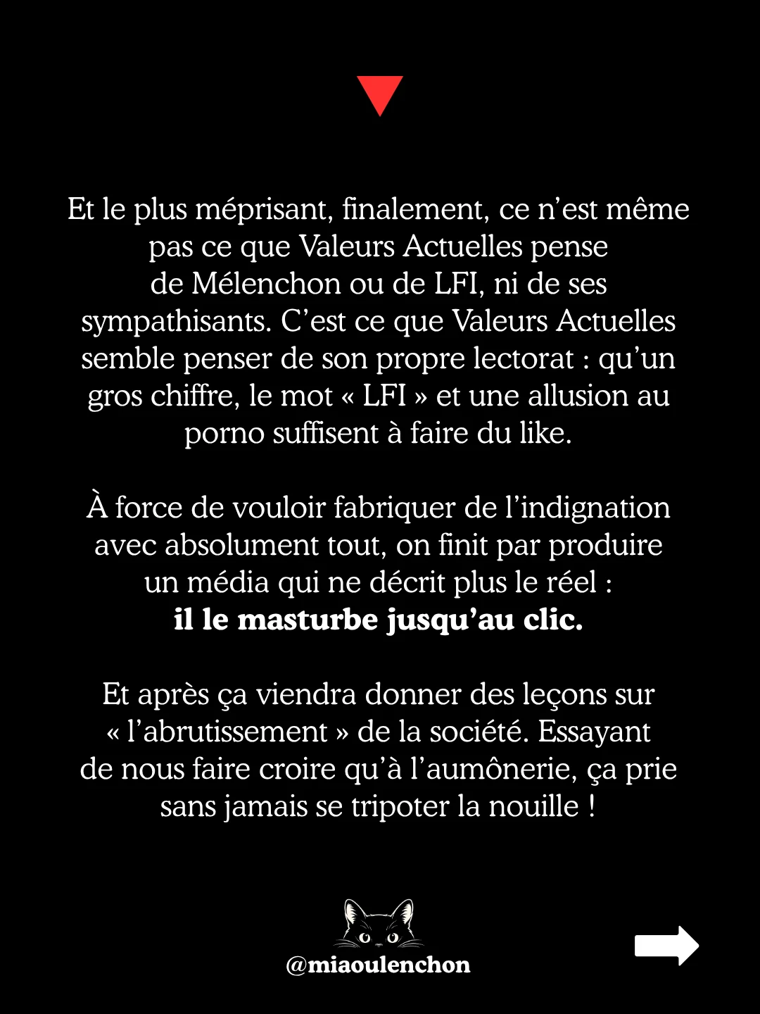 « Du porno de souche » : parodie des sondages Valeurs actuelles — diapositive 4