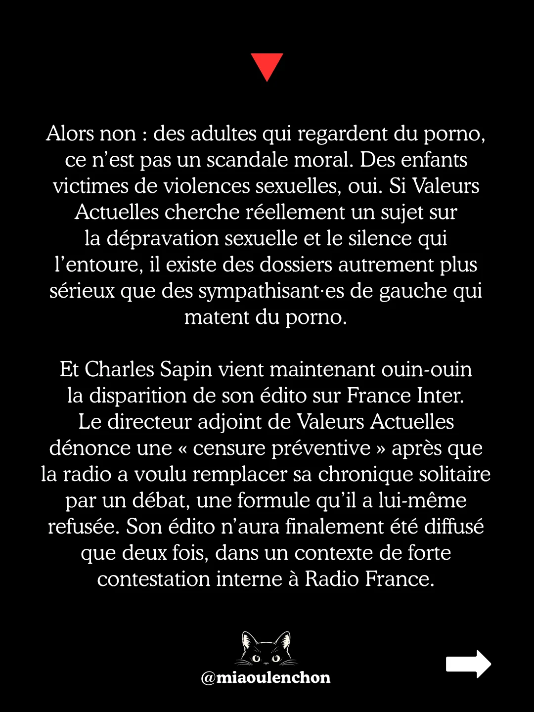 « Du porno de souche » : parodie des sondages Valeurs actuelles — diapositive 6