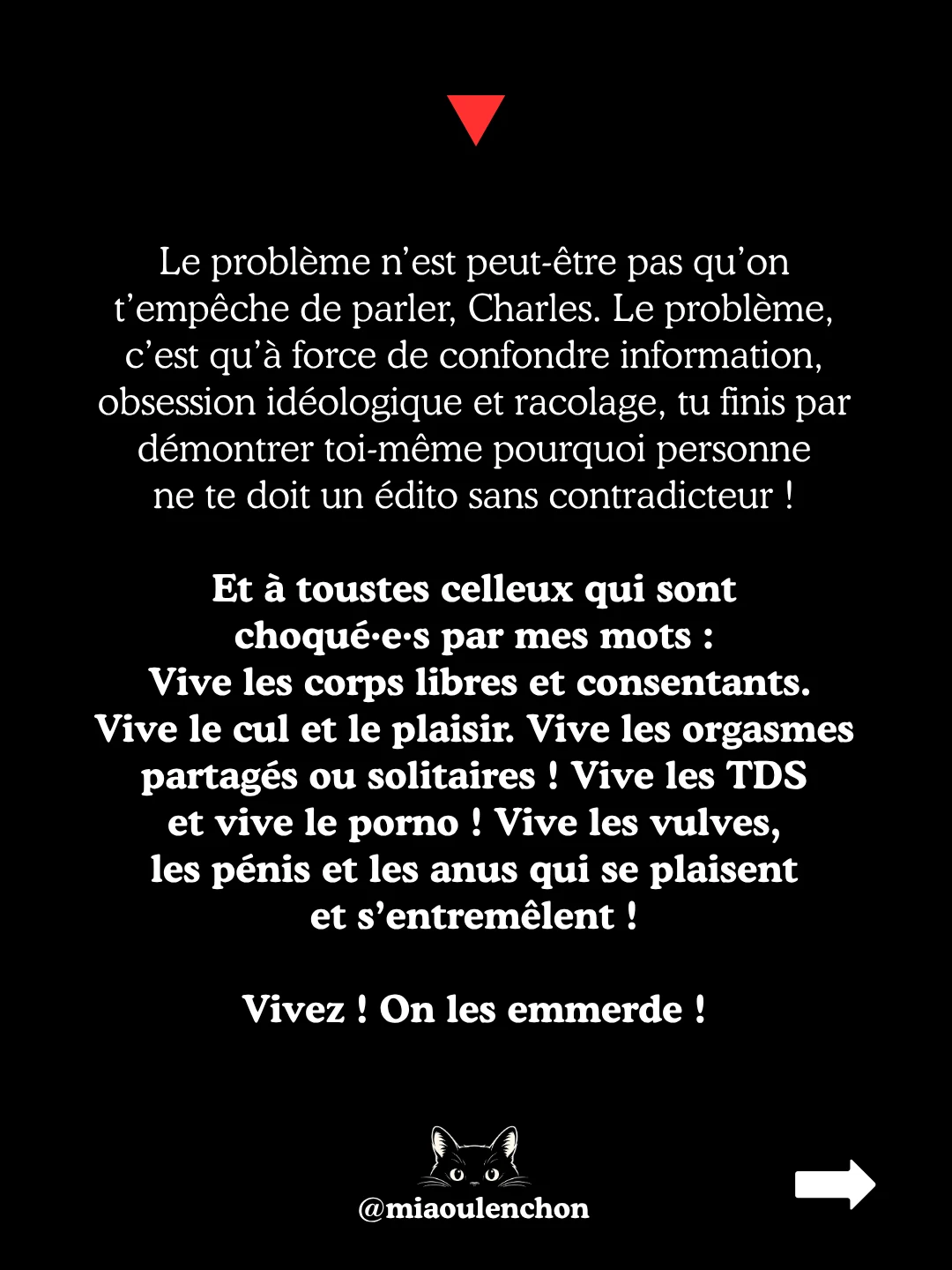 « Du porno de souche » : parodie des sondages Valeurs actuelles — diapositive 8